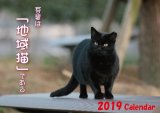 2019年カレンダーご注文はこちらから！！