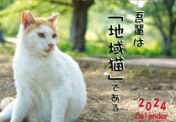 今年も出来上がりました！2024年地域猫カレンダー♪