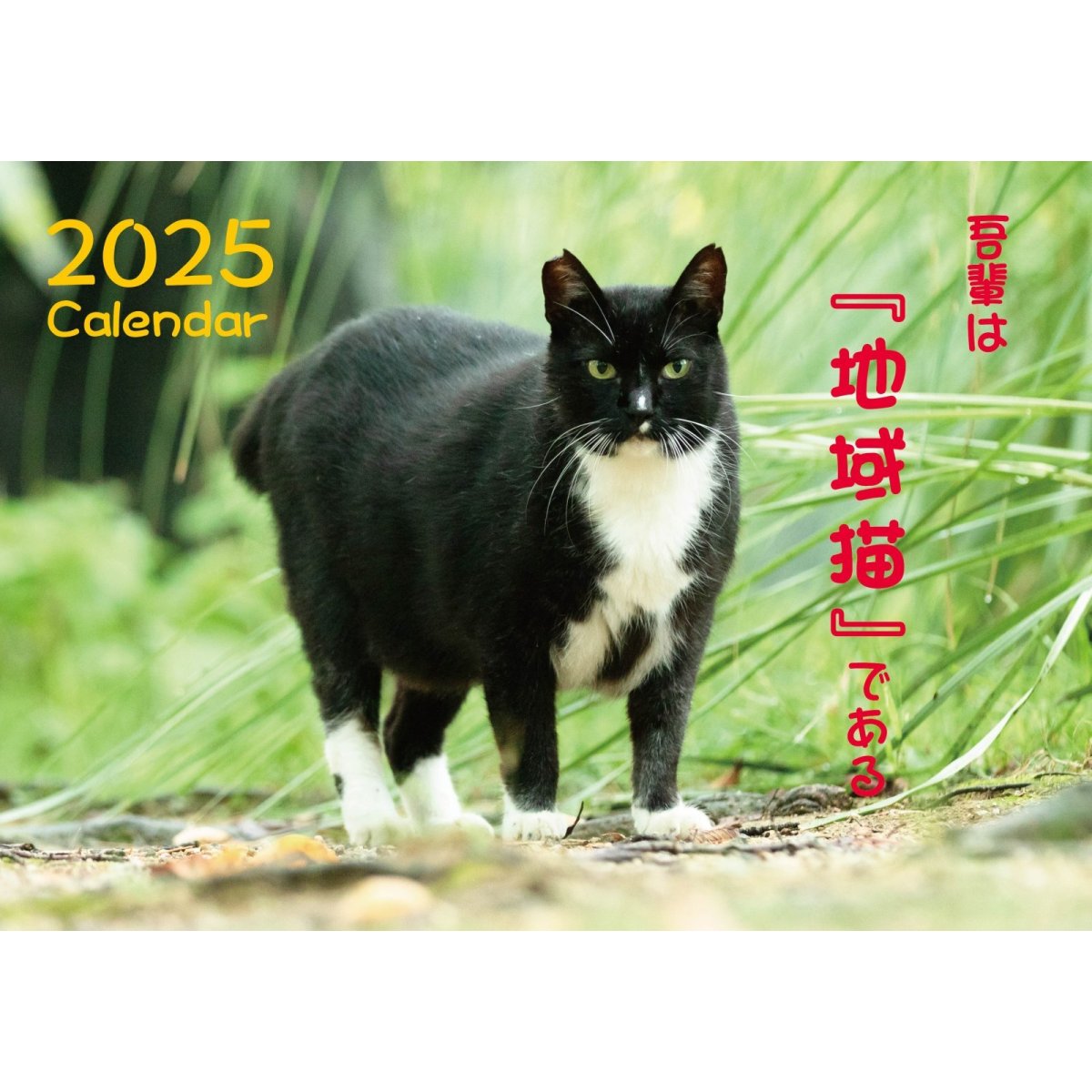 画像1: 2025年地域猫カレンダー "吾輩は「地域猫」である" ご注文受付中