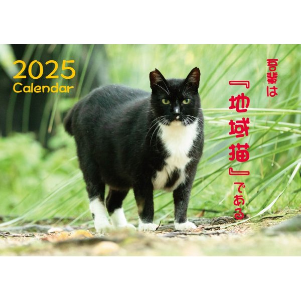 画像1: 2025年地域猫カレンダー "吾輩は「地域猫」である" ご注文受付中