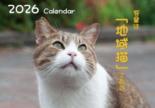 2026年地域猫カレンダー&地域猫コーヒーの販売開始いたしました♪