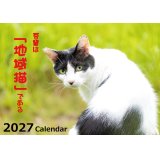2027年地域猫カレンダー＆地域猫コーヒーの販売開始いたしました♪