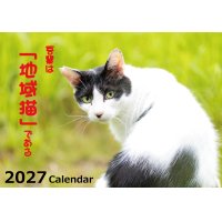 2027年地域猫カレンダー "吾輩は「地域猫」である" ご注文受付中