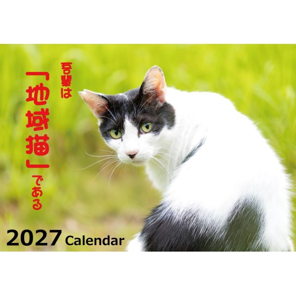 画像1: 2027年地域猫カレンダー "吾輩は「地域猫」である" ご注文受付中